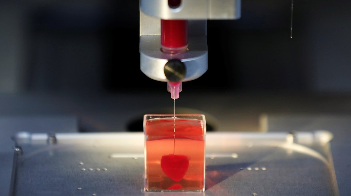 Crearon el primer corazón vivo hecho con una impresora 3D y tejido humano