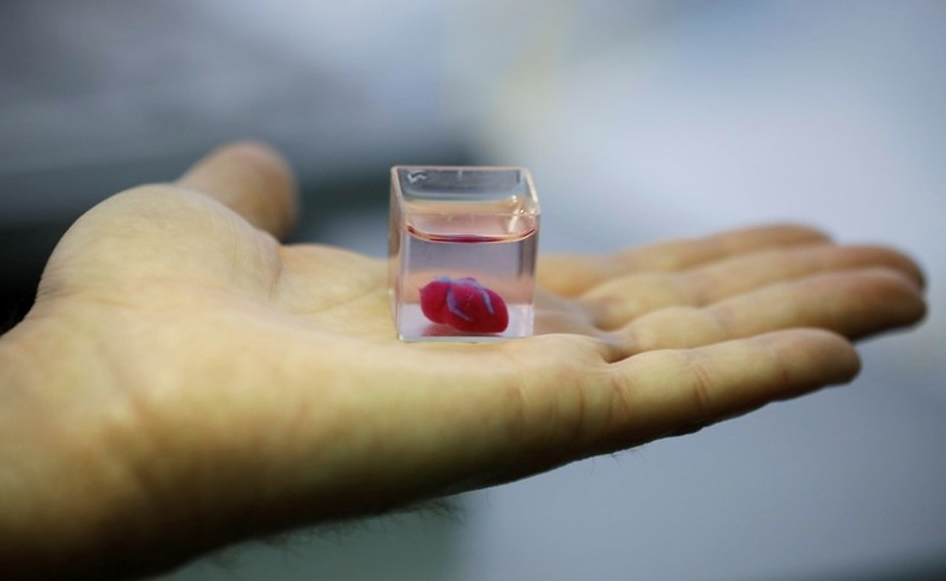 Crearon el primer corazón vivo hecho con una impresora 3D y tejido humano