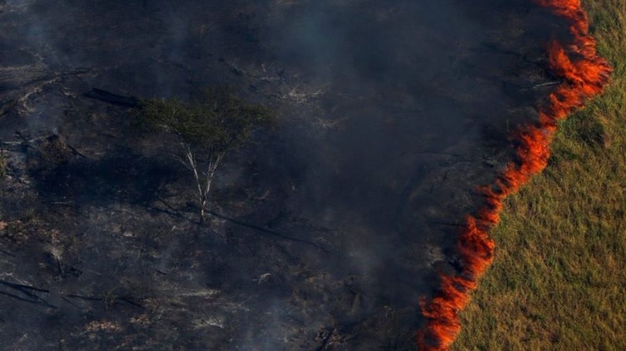 amazonas fuego 5 08232019