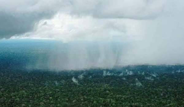 fake_news_lluvia_amazonas